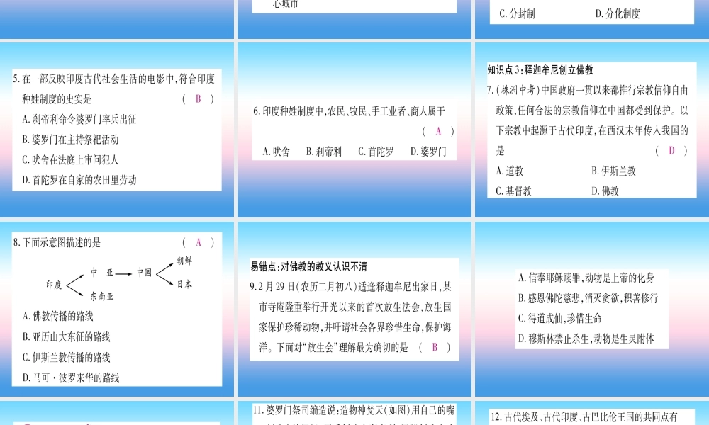 2018秋九年级历史上册 第1单元 古代亚非文明 第3课 古代印度习题课件 新人教版 课件