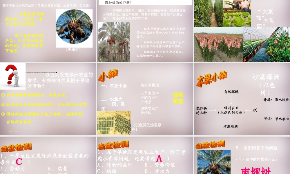 七年级历史与社会上册 第三单元 第5课 第2框(沙漠绿洲—以色列)课件2 人教版 课件