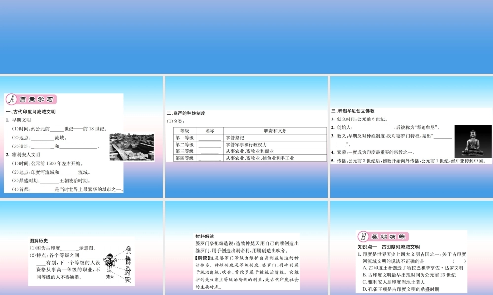 九年级历史上册 第1单元 古代亚非文明 第3课 古代印度作业课件 新人教版 课件