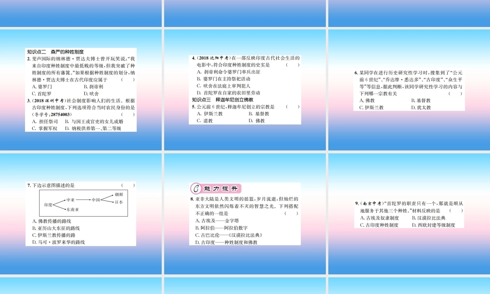 九年级历史上册 第1单元 古代亚非文明 第3课 古代印度作业课件 新人教版 课件