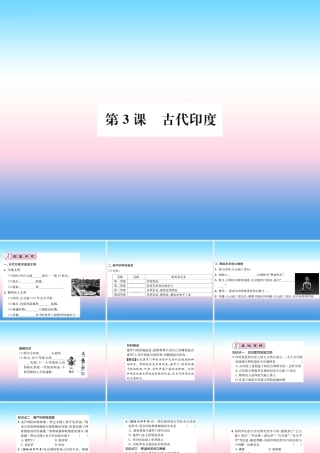 九年级历史上册 第1单元 古代亚非文明 第3课 古代印度作业课件 新人教版 课件