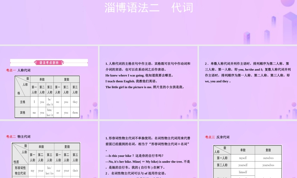 中考英语复习 语法二 代词课件