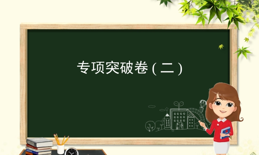 九年级化学 重点题目 专项突破卷(二)课件 (新版)新人教版 课件