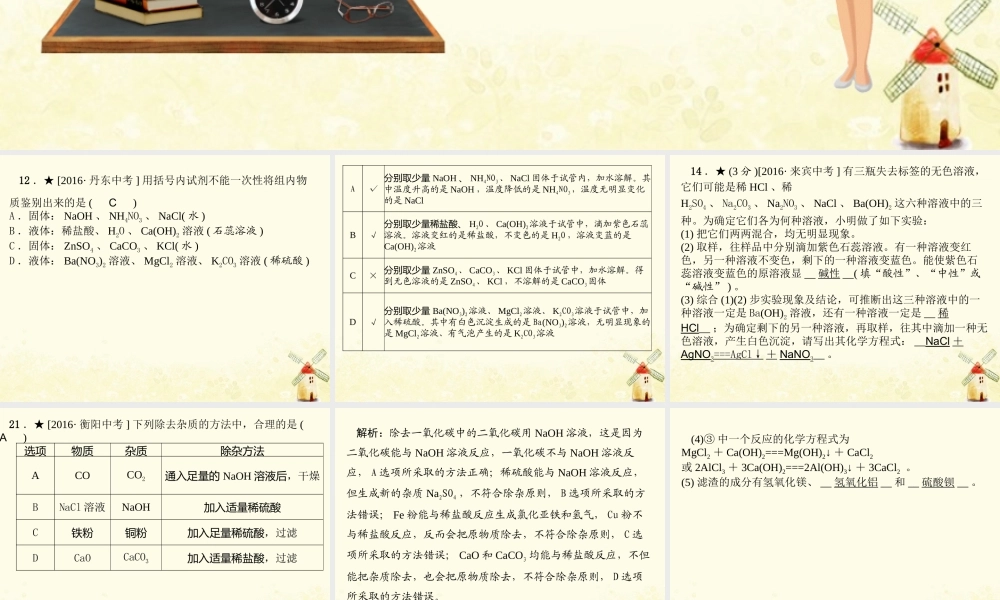 九年级化学 重点题目 专项突破卷(二)课件 (新版)新人教版 课件