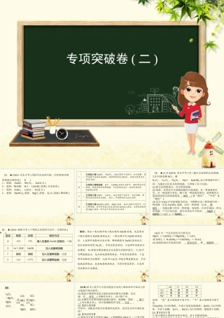 九年级化学 重点题目 专项突破卷(二)课件 (新版)新人教版 课件