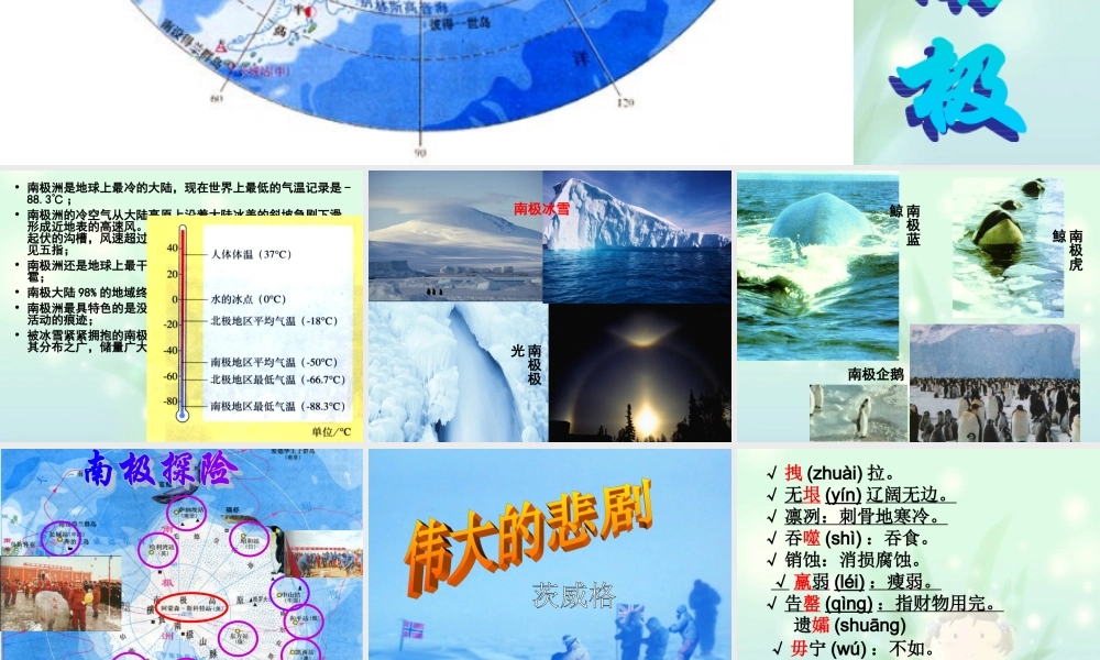 七年级下册伟大的悲剧课件 人教版 课件