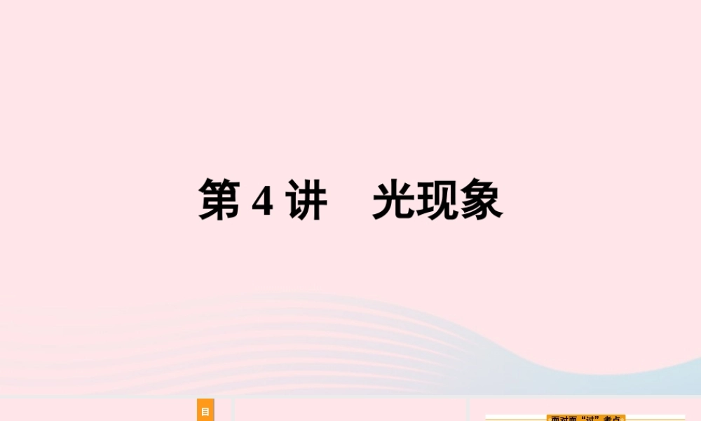 中考物理一轮复习 基础考点一遍过 第4讲 光现象课件