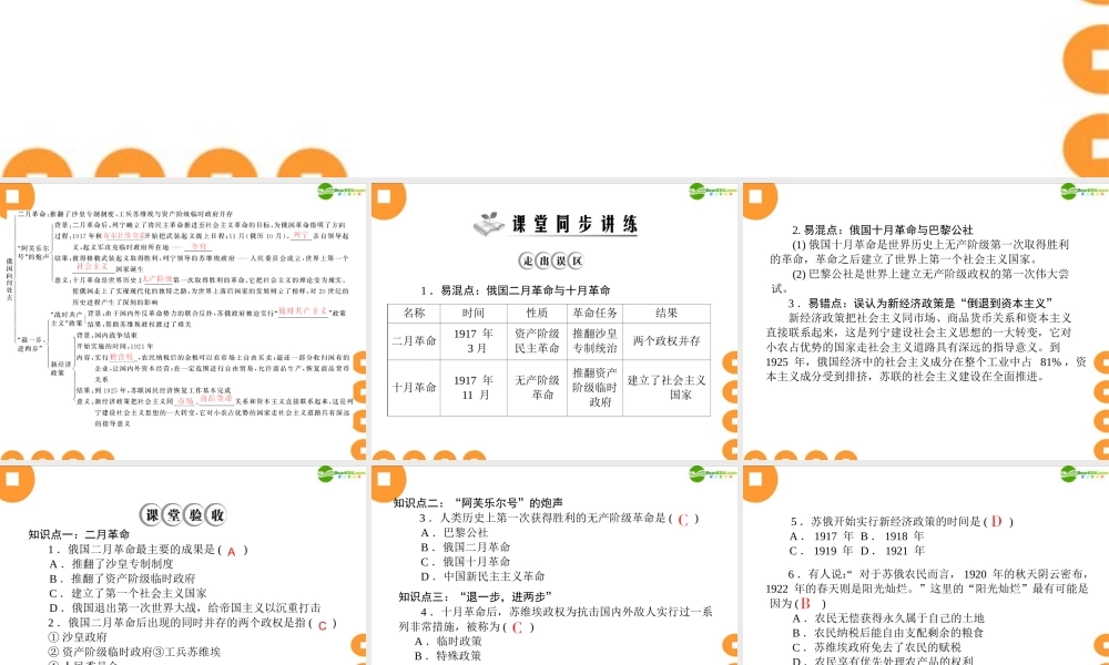 九年级历史上册 第一单元 第1课 俄国向何处去配套课件 北师大版 课件