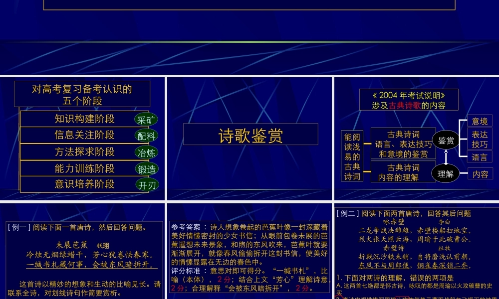 9五一串讲2 高考语文冲刺分类复习课件全集下 新课标 人教版 高考语文冲刺分类复习课件全集下 新课标 人教版