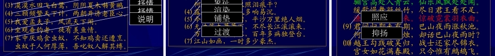 9五一串讲2 高考语文冲刺分类复习课件全集下 新课标 人教版 高考语文冲刺分类复习课件全集下 新课标 人教版