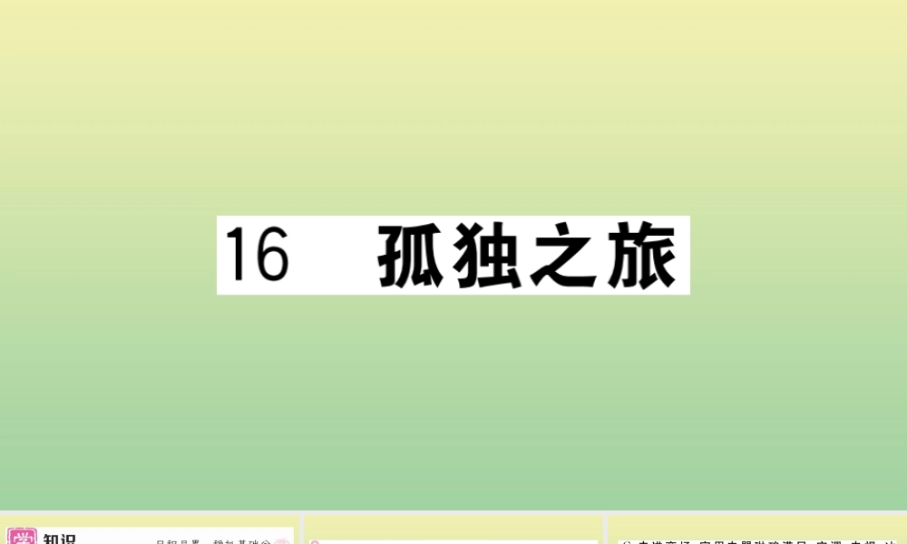 (黄冈专版)九年级语文上册 第四单元 16 孤独之旅作业课件 新人教版 课件