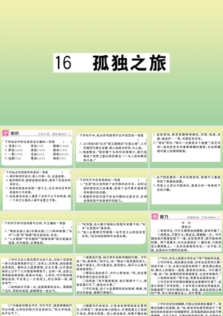 (黄冈专版)九年级语文上册 第四单元 16 孤独之旅作业课件 新人教版 课件
