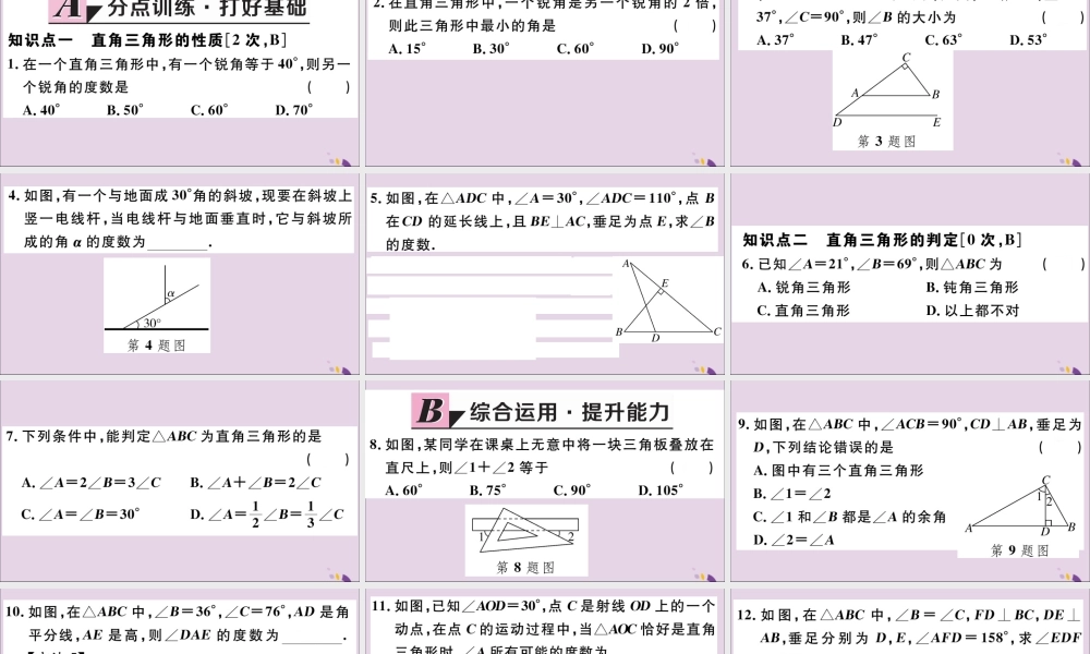 (河北专版)八年级数学上册 11.2 与三角形有关的角 11.2.1 第2课时 直角三角形的两锐角互余习题课件 (新版)新人教版 课件