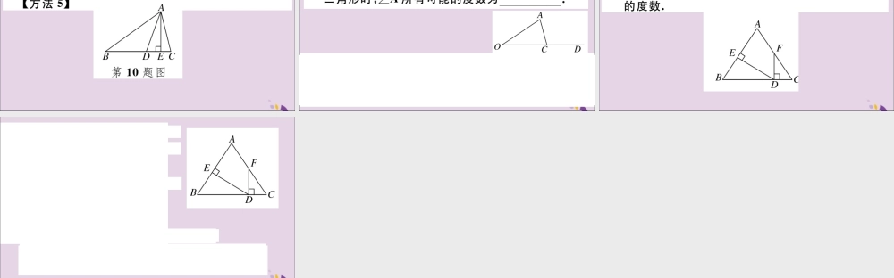 (河北专版)八年级数学上册 11.2 与三角形有关的角 11.2.1 第2课时 直角三角形的两锐角互余习题课件 (新版)新人教版 课件