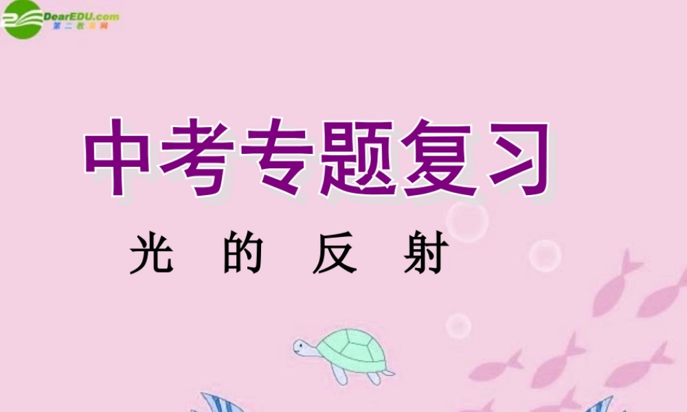 中考物理 (光的反射)复习课件 人教新课标版 课件