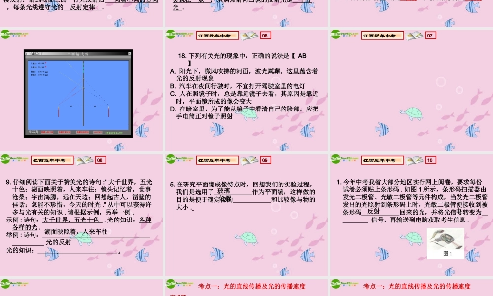 中考物理 (光的反射)复习课件 人教新课标版 课件