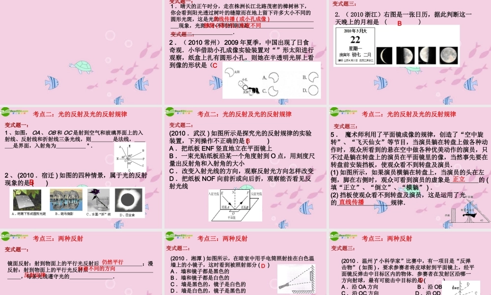 中考物理 (光的反射)复习课件 人教新课标版 课件