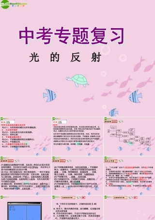 中考物理 (光的反射)复习课件 人教新课标版 课件