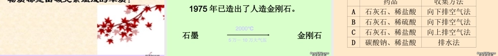 九年级化学第六单元碳和碳的氧化物复习课件