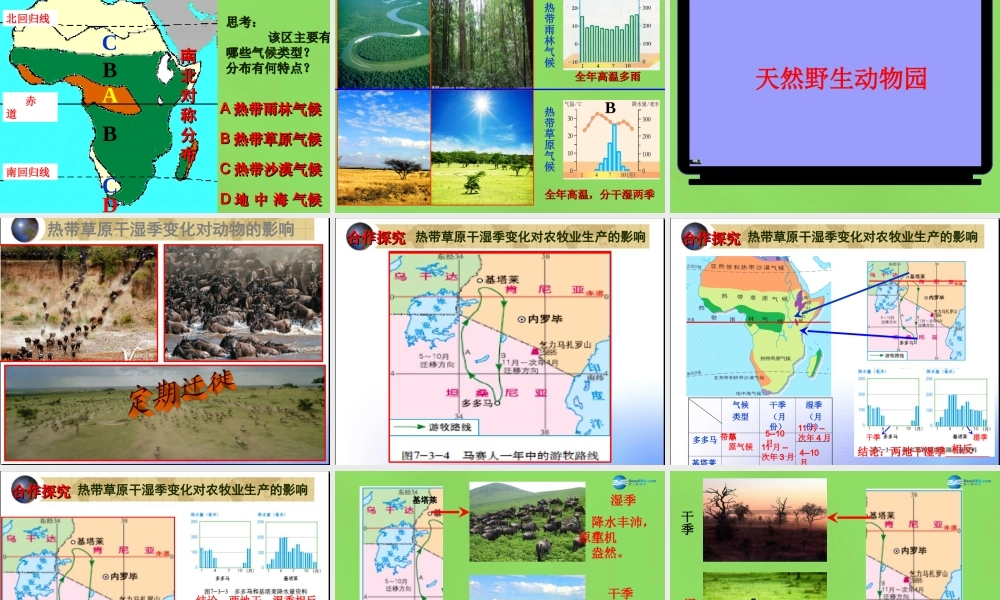 七年级地理下册 7.3 撒哈拉以南的非洲课件 商务星球版 课件