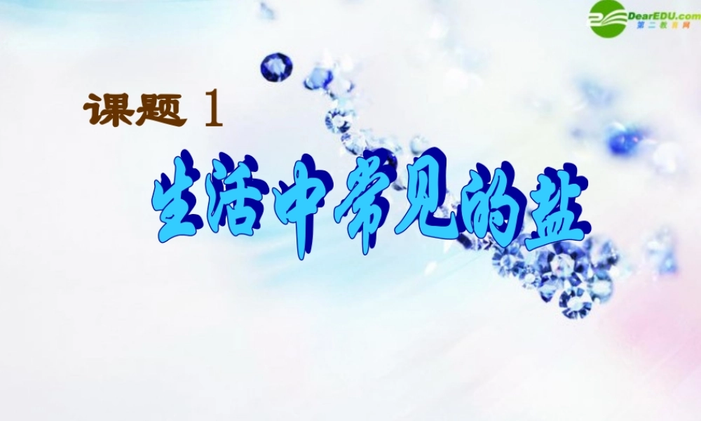 九年级化学下册 生活中常见的盐课件 人教新课标版 课件