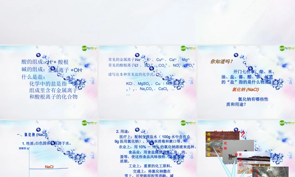 九年级化学下册 生活中常见的盐课件 人教新课标版 课件