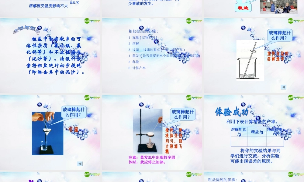 九年级化学下册 生活中常见的盐课件 人教新课标版 课件