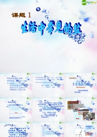 九年级化学下册 生活中常见的盐课件 人教新课标版 课件