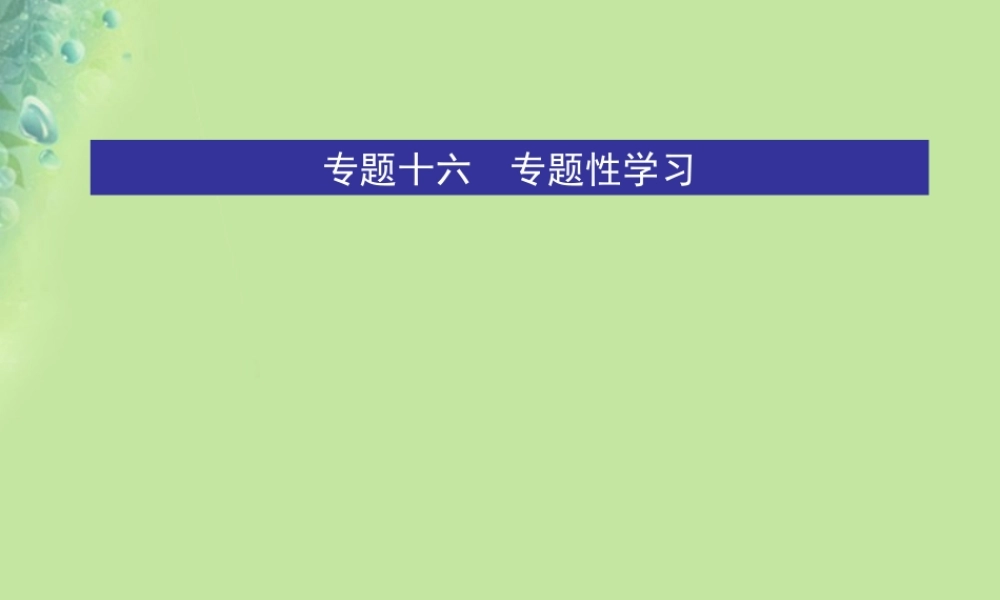 中考语文 专题十六 专题性学习课件