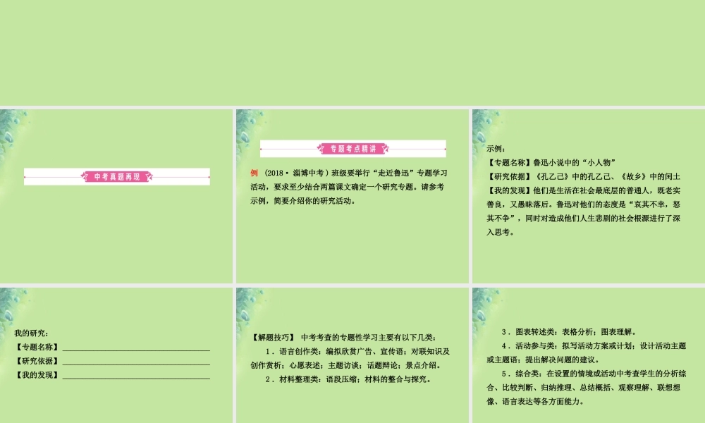 中考语文 专题十六 专题性学习课件