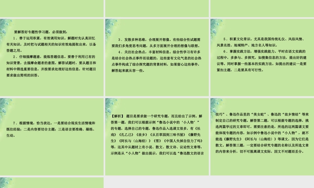 中考语文 专题十六 专题性学习课件