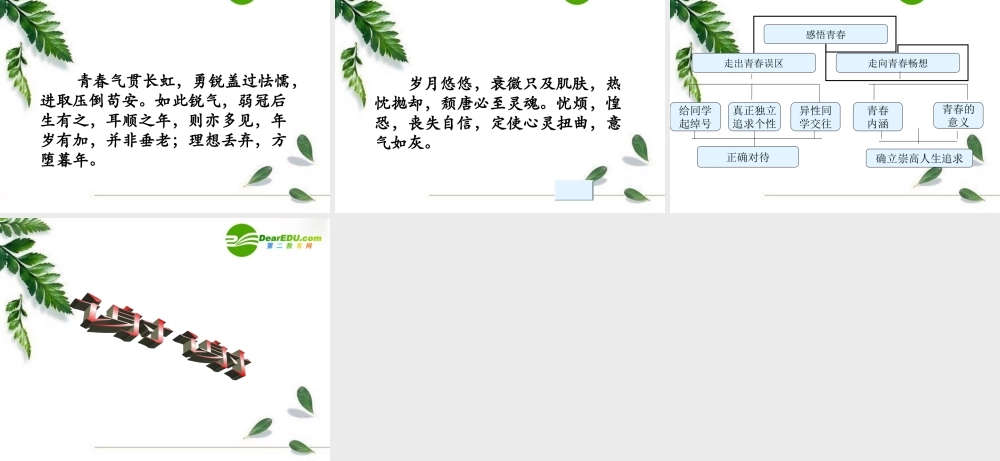 七年级政治上册感悟青春课件人教版 课件