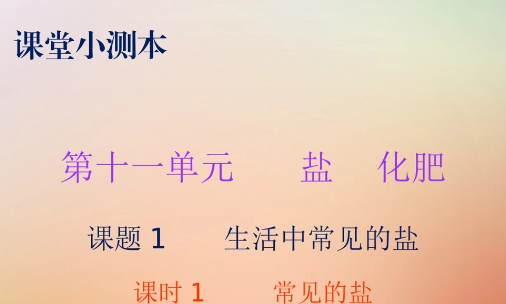 九年级化学下册 第十一单元 盐 化肥 课题1 生活中常见的盐 课时1 常见的盐(小测本)课件 (新版)新人教版 课件
