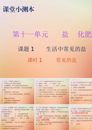 九年级化学下册 第十一单元 盐 化肥 课题1 生活中常见的盐 课时1 常见的盐(小测本)课件 (新版)新人教版 课件