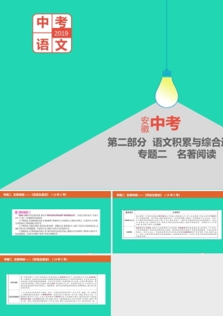 中考语文总复习 第二部分 语文积累与综合运用 专题二 名著阅读(安徒生童话)课件