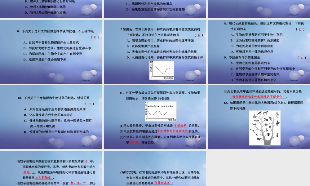 中考生物一轮复习 第七单元 第三章 生命起源和生物进化课件 新人教版 课件