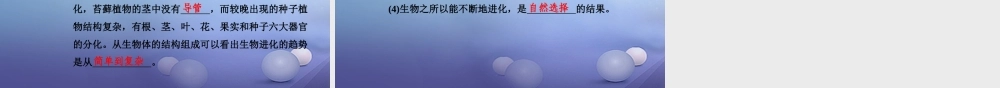 中考生物一轮复习 第七单元 第三章 生命起源和生物进化课件 新人教版 课件