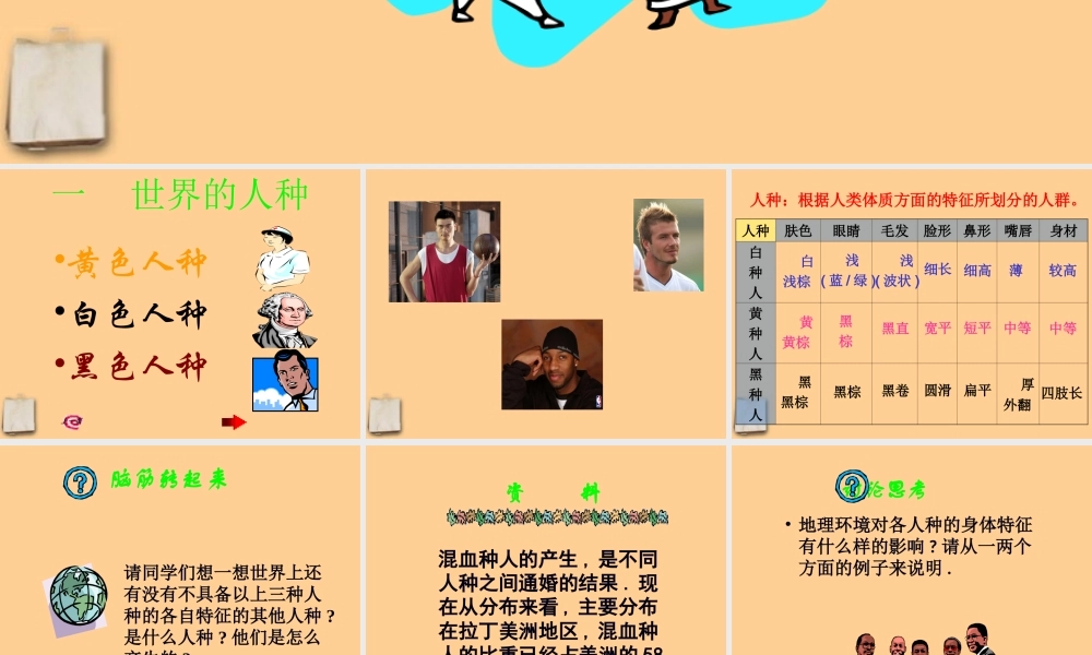 七年级地理上册 第三章世界的居民第二节世界的人种课件 湘教版 课件