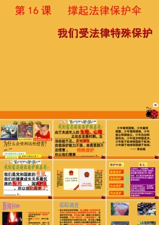 七年级政治下册 我们受法律特殊保护课件 鲁教版 课件