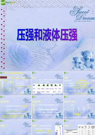 中考物理一轮复习 (压强和液体压强)课件 人教新课标版 课件