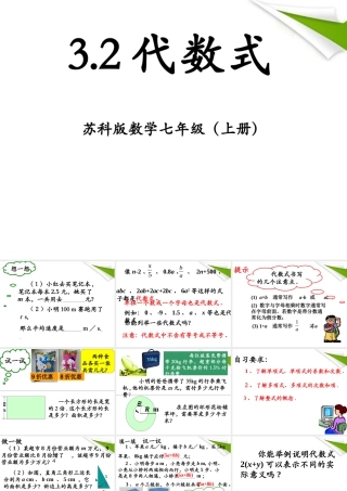 七年级数学上册 3.2代数式 课件