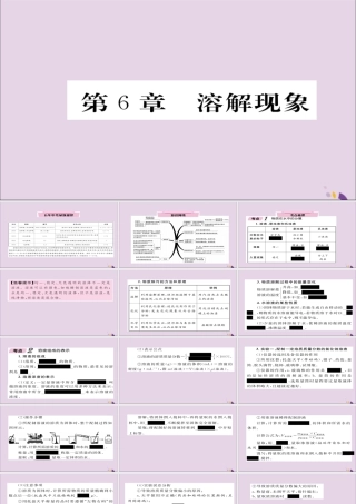 (遵义专版)中考化学总复习 第1编 教材知识梳理篇 第6章 溶解现象(精讲)课件