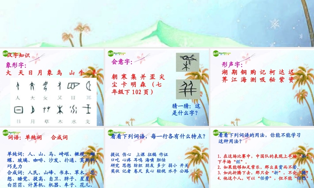 中考语文复习专题课件 语言知识积累及运用 课件