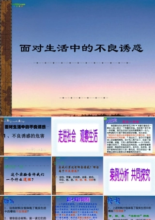七年级政治下册(面对生活中的不良诱或)教学课件 鲁教版 课件