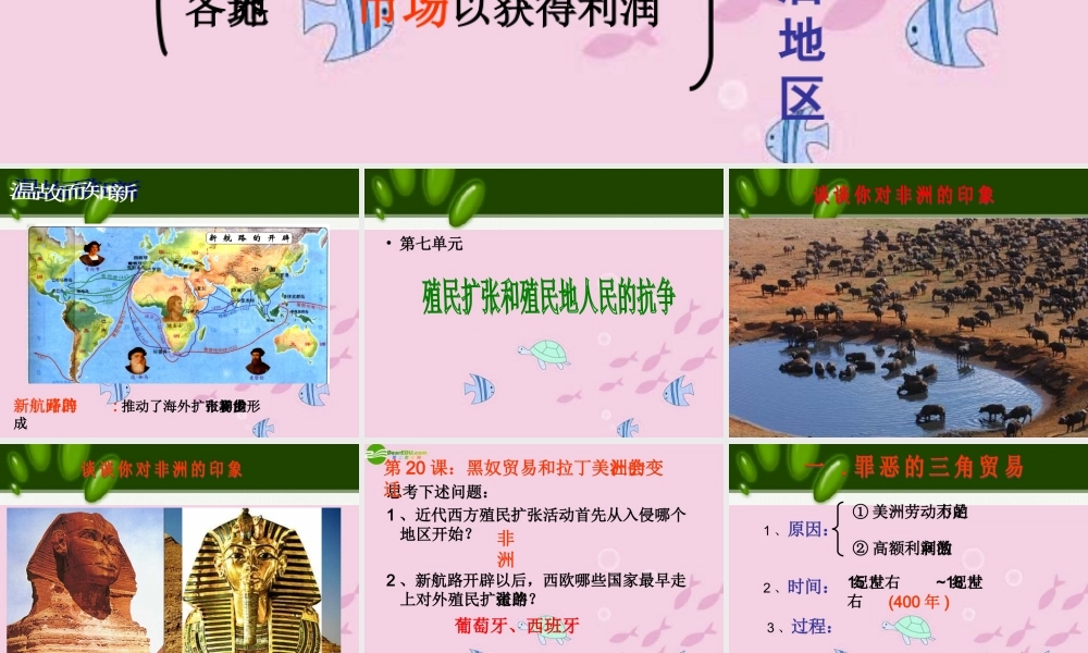 九年级历史 黑奴贸易和拉丁美洲的社会变迁课件 沪教版 课件