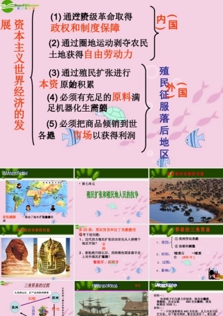 九年级历史 黑奴贸易和拉丁美洲的社会变迁课件 沪教版 课件