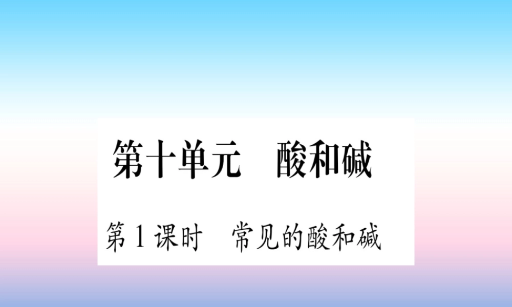 (甘肃专用)中考化学 第10单元 酸和碱 第1课时 常见的酸和碱(提分精练)课件