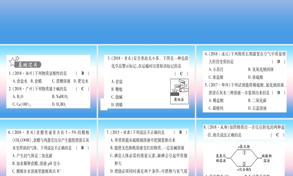 (甘肃专用)中考化学 第10单元 酸和碱 第1课时 常见的酸和碱(提分精练)课件