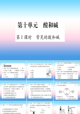 (甘肃专用)中考化学 第10单元 酸和碱 第1课时 常见的酸和碱(提分精练)课件