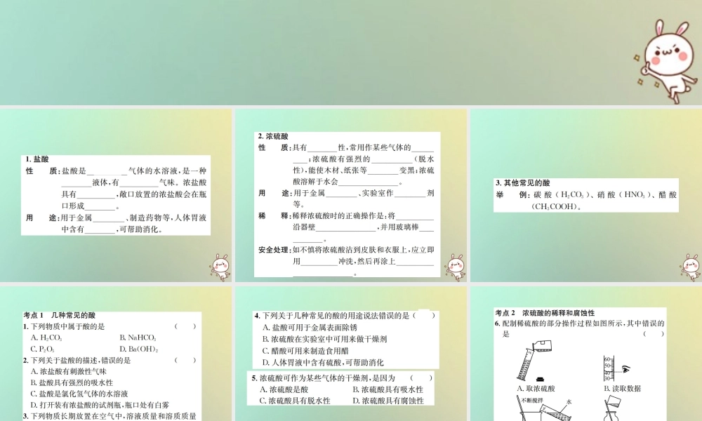 九年级化学下册 第十单元 酸和碱 课题1 常见的酸和碱 第2课时 常见的酸 浓硫酸习题课件 (新版)新人教版 课件